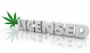 cannabis research and development license services